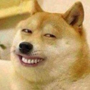 Meet your Posher, Lizbeth